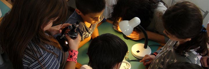 Ventajas del aprendizaje por proyectos