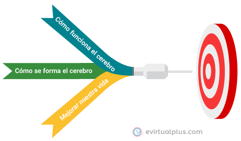 metas de la neurociencia